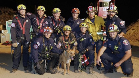 Firefighters Save Blind Dog Who Fell in Hole at Construction Site