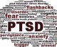 Understanding Post-Traumatic Stress Disorder This Veterans Day Understanding Post-Traumatic Stress Disorder This Veterans Day
