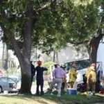 BREAKING: Truck slams into tree, other vehicle on Artesia Boulevard