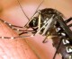 First Mosquitoes Test Positive for West Nile Virus Activity in Orange County
