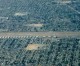 Bellflower man arrested after attempting to steal airplane at Compton Airport Bellflower man arrested after attempting to steal airplane at Compton Airport