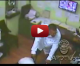 LAPD VIDEO: Three Suspects Wanted in Armed Takeover Robbery of Medical Marijuana Clinic