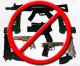 Ban Assault Weapons and High Capacity Clips