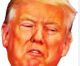 Newsweek: How Trump’s Company Violated the U.S. Embargo Against Cuba Newsweek: How Trump’s Company Violated the U.S. Embargo Against Cuba