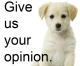 Do You Want a Dog Park in Cerritos? Do You Want a Dog Park in Cerritos?