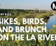 Join Metro for a free group bike ride along the L.A. River Sat. Aug. 31