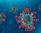 New coronavirus variant is detected in Africa New coronavirus variant is detected in Africa