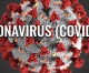 Bloomberg: Virus Vaccine May Be Ready for Mass Production By Autumn, Oxford Professor Says Bloomberg: Virus Vaccine May Be Ready for Mass Production By Autumn, Oxford Professor Says