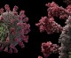 4 New Deaths and 1,113 New Positive Cases of Confirmed COVID-19 In Los Angeles County 4 New Deaths and 1,113 New Positive Cases of Confirmed COVID-19 In Los Angeles County