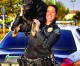 Cypress PD Says Goodbye to a Trusted and Good Friend Cypress PD Says Goodbye to a Trusted and Good Friend