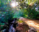 Virtual Field Trips at Rancho Los Alamitos Virtual Field Trips at Rancho Los Alamitos