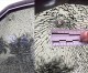 Three Separate Car Shootings in Cerritos on 91 Freeway Three Separate Car Shootings in Cerritos on 91 Freeway