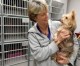LA County Will Cut Animal Services Housing in Gardena LA County Will Cut Animal Services Housing in Gardena
