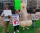 Los Angeles Activists hold ‘Small Dong March’ to end ‘shaming’ of tiny penises