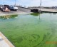 Harmful algal bloom at Lake Elsinore prompts warning to stay out of the water Harmful algal bloom at Lake Elsinore prompts warning to stay out of the water