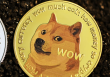 What Are Meme Coins And Are They Worth Investing In?