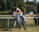 First Mission Aims to Follow in Knicks Go’s Footsteps to Breeders’ Cup Glory First Mission Aims to Follow in Knicks Go’s Footsteps to Breeders’ Cup Glory