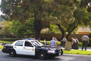Members of the Cerritos Sheriff's Department inspect the scene of a deadly motorcycle accident on Bloomfield Avenue on Thursday afternoon.  Randy Economy Photo