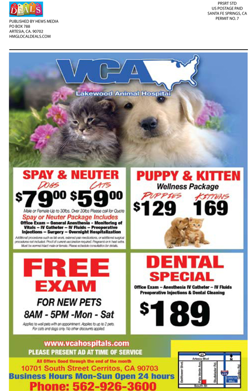 Local Deal August_Web 16 copy