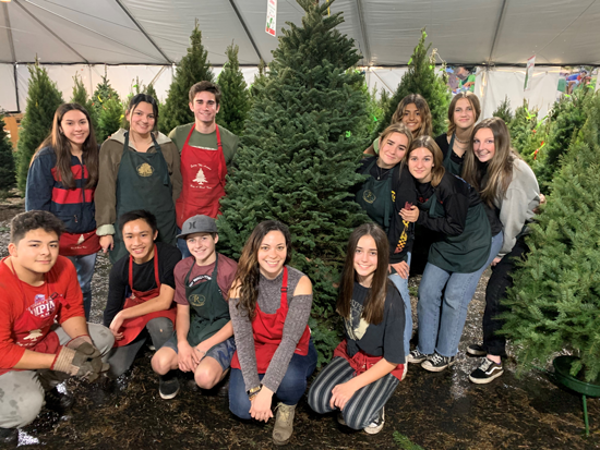 los alamitos youth center tree