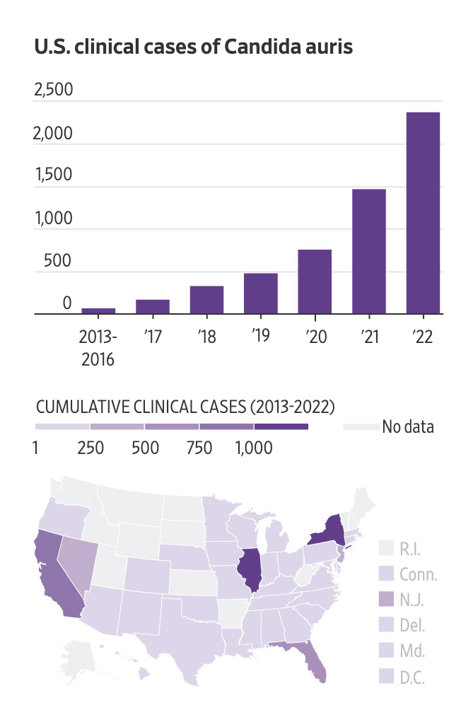 Deadly Fungus Detected in Many U.S. States Cerritos Community News.