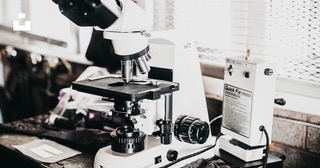 The Emerging Role of Semax Peptide in Research Across Neurobiology